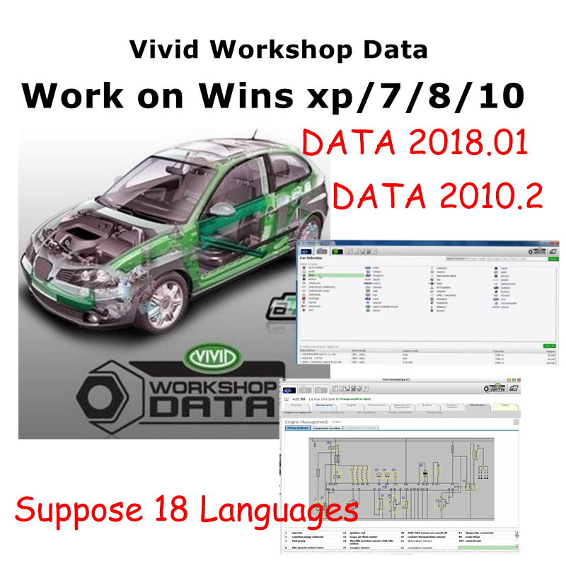 Datos de taller vívidos automo - Workshop Tools Diagram reseña y precio
